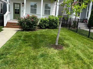 Brian V.'s grass cutting service result
