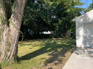 Tommie B.'s Leaf Removal service result