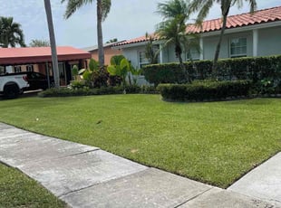 Steve H.'s Bush Trimming service result