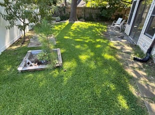 Edmundo F.'s grass cutting service result