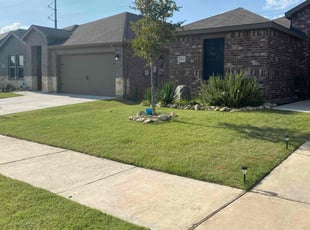 Alesha V.'s lawn maintenance service result