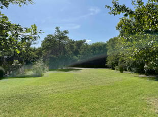 Alia W.'s lawn care service result