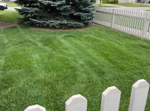 Laura B.'s turf maintenance service result