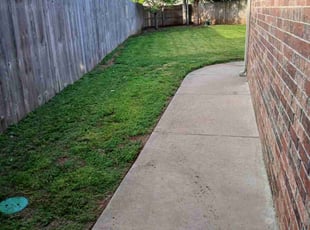 Robilyn B.'s lawn care services service result