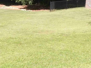 Phyllis B.'s grass cutting service result