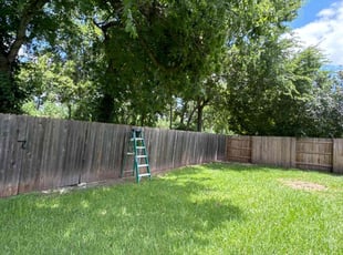 Rozella M.'s Tree Care service result