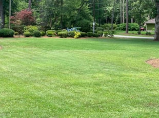 Olenka P.'s lawn care services service result