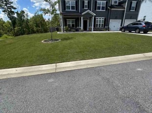 Jane E.'s grass maintenance service result