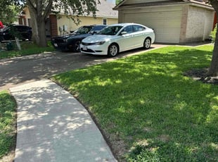 Ricky S.'s lawn maintenance service result