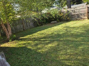 Robert R.'s lawn service service result