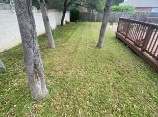 Shalana M.'s lawn service service result