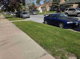 Shanise K.'s lawn service service result