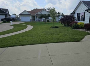 Tracy M.'s yard maintenance service result