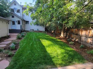 Patrick G.'s lawn care service result