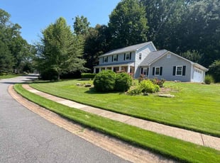 Monique W.'s turf maintenance service result