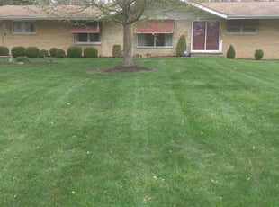 Mary S.'s landscaping service result