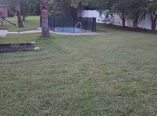Dr M.'s turf care service result