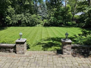 Nikhil K.'s grass maintenance service result