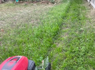 Barbara J.'s lawn maintenance service result