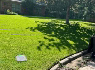 Lisa H.'s lawn service service result