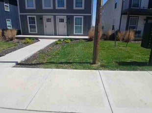 Meadow M.'s grass maintenance service result