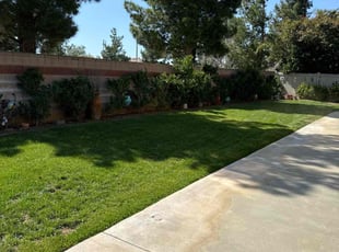 Linda G.'s lawn service service result