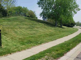 Barbara A.'s lawn maintenance service result