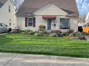 Kim B.'s turf maintenance service result