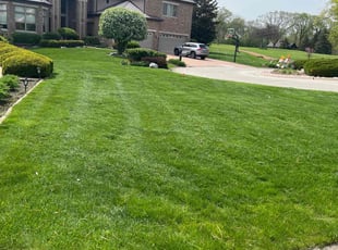 Heather H.'s grass maintenance service result