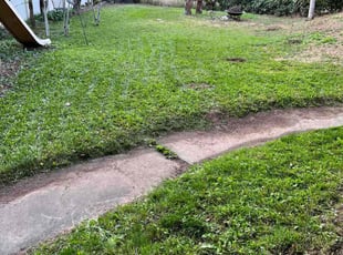 Shannon W.'s turf maintenance service result