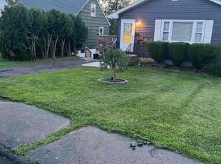 Mandy J.'s lawn care service result