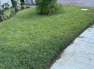 Michelle T.'s lawn care services service result