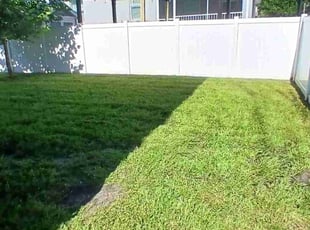 Kala L.'s lawn care services service result