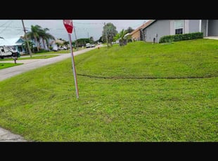 Ira B.'s grass cutting service result