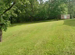 Joel A.'s lawn service service result