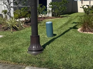 Janelle G.'s lawn service service result