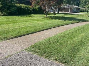 Alex F.'s lawn service service result