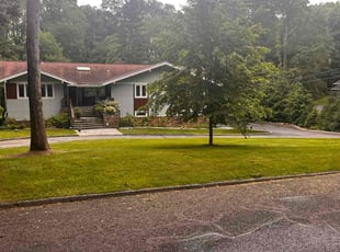 Trish V.'s turf care service result