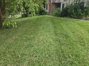 Paul S.'s turf maintenance service result