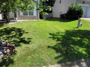 Tyrique B.'s lawn service service result