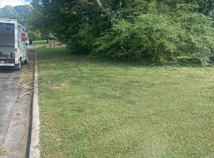 Alyssa G.'s grass maintenance service result