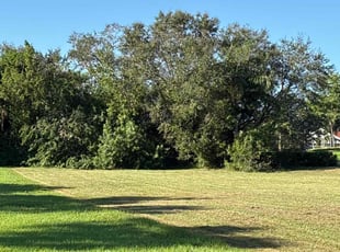 George R.'s grass cutting service result