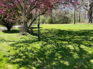 Silvia C.'s turf care service result