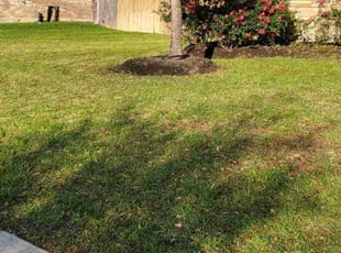 Stephanie E.'s lawn service service result