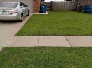Valerie J.'s turf maintenance service result