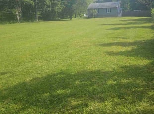 Quintara J.'s grass cutting service result