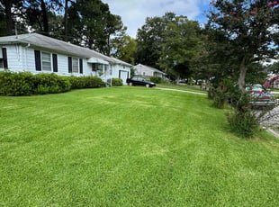 Chris K.'s grass cutting service result