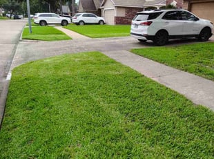 Kevin L.'s lawn care service result