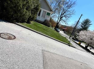 Carol K.'s turf maintenance service result