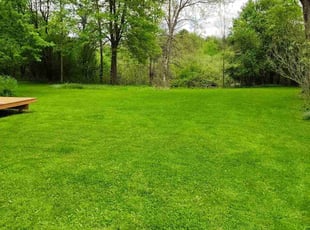 Henry T.'s turf maintenance service result